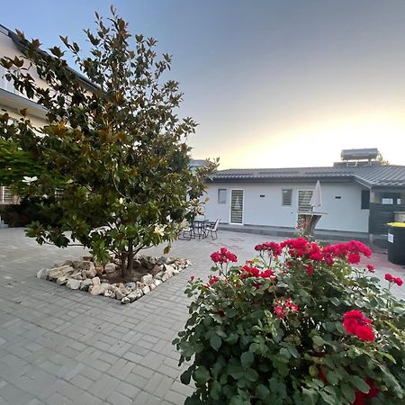 Hotel Dekor Costinesti Zewnętrze zdjęcie