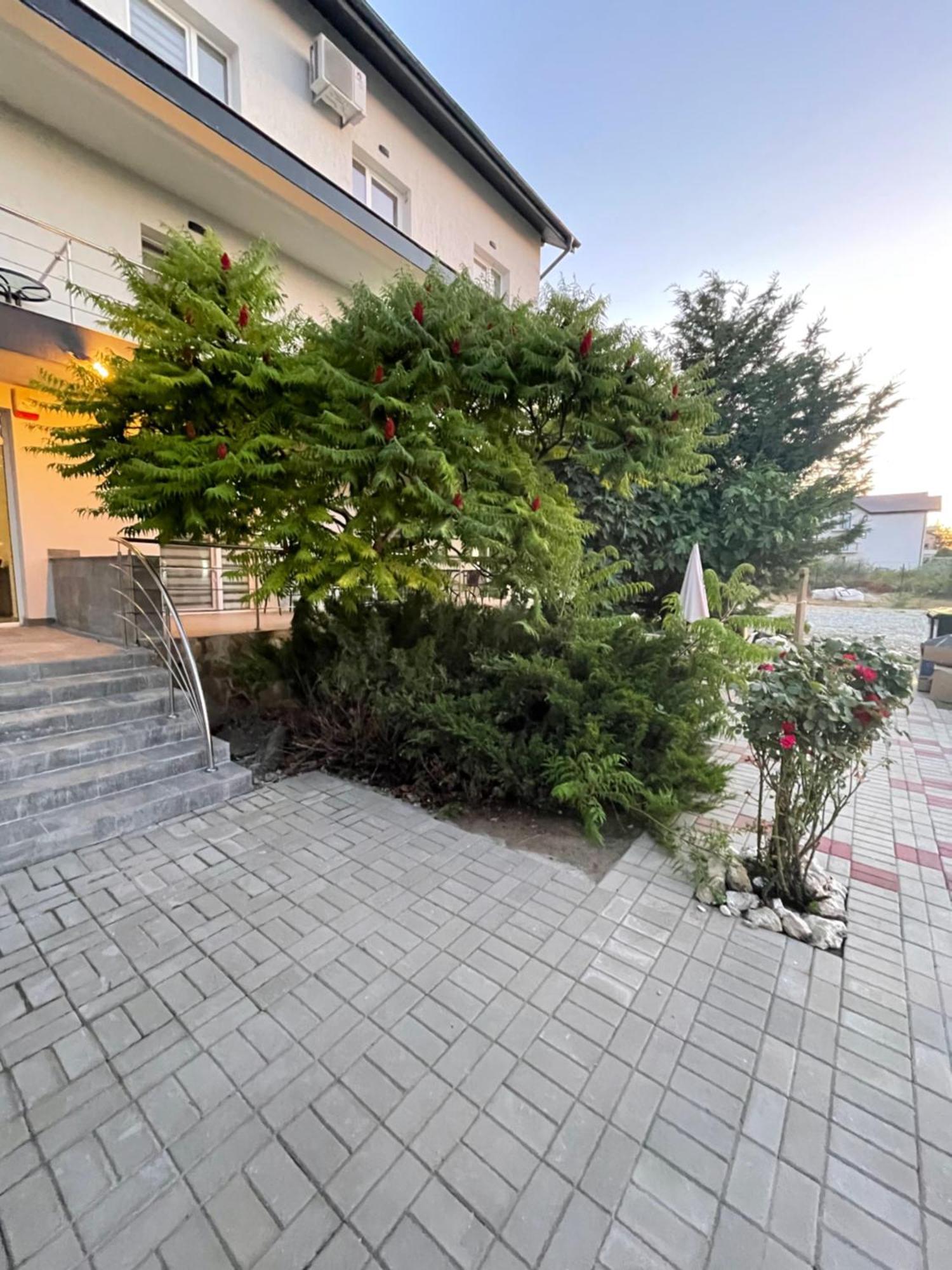 Hotel Dekor Costinesti Zewnętrze zdjęcie